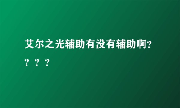 艾尔之光辅助有没有辅助啊？？？？
