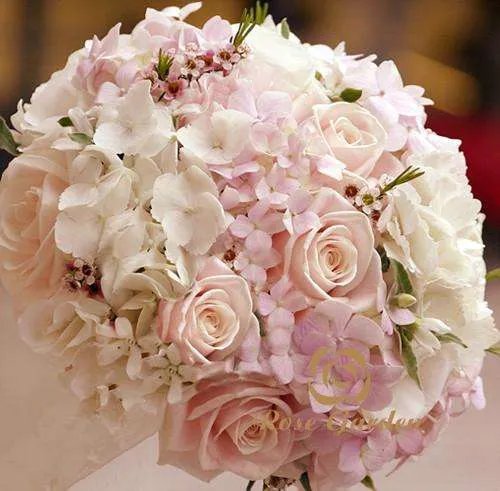 20朵玫瑰花代表什么意思 玫瑰花送几朵代表什么