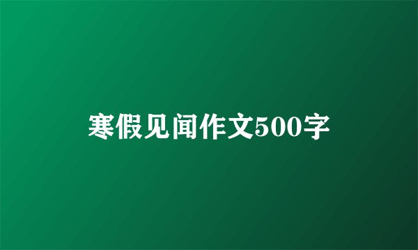 寒假见闻作文500字