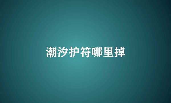 潮汐护符哪里掉